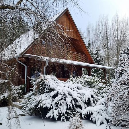 Sowa I Kumple Villa Drezdenko Exterior foto